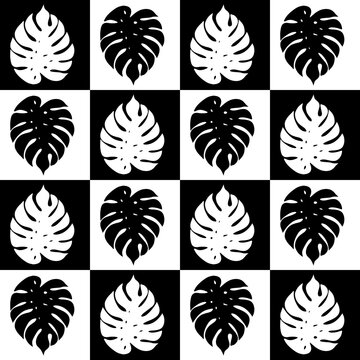Abstract geometric pattern of squares and monstera and Adam's rib in black and white colors. Vector illustration for various prints.