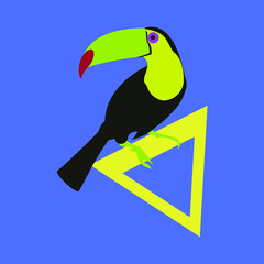 Azulejo tucán posado en triángulo