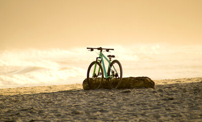 bicycle leaning on trunk on beach at sunset