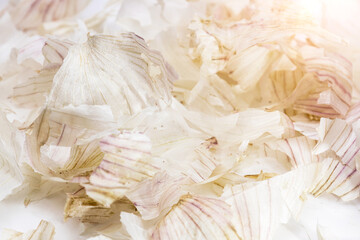 Garlic peel isolated on white background, garlic peel often used in folk medicine, healthy natural...