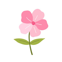 Cute pink flower with leaves isolated on white background. Vector illustration in hand-drawn flat style. Perfect for cards, logo, decorations, spring and summer designs. Botanical clipart.