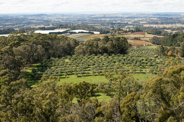 Fototapeta na wymiar View of Towac Valley from the Pinnacle Lookout in Orange, New South Wales, Australia. View takes in apple orchard, vinyards and other agricultural farms to the horizon