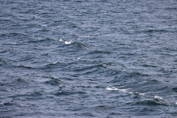 Fototapeta premium Waves far in open Baltic sea. Deep blue water, white foam on top of waves. Photo taken from ship