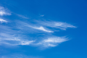 Naklejka na ściany i meble Closeup and background with white clouds and blue sky.