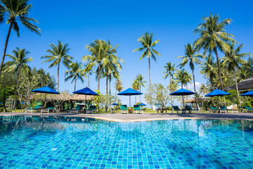 Fototapeta na wymiar beautiful pool and coconut tree view