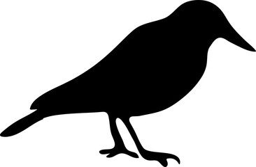  vector crow icon illustration on white background..eps