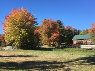 Naklejka premium Autumn