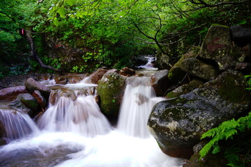 斜里岳の沢登り