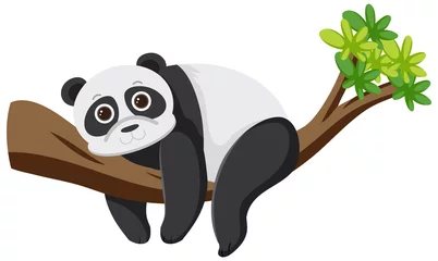 Cute panda bear in flat cartoon style © blueringmedia