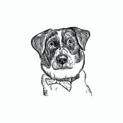 Vintage hand drawn sketch bow tie dog head