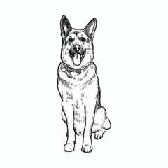 Vintage hand drawn sketch smile shepherd dog