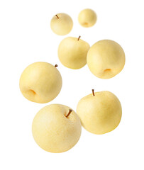Chinese pear (Asian pears) falling isolated on white background.