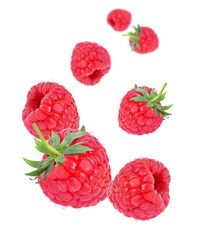 Fresh raspberry fruit flying in the air isolated on white background.