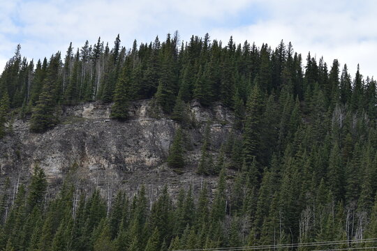 Alberta Mountain Side