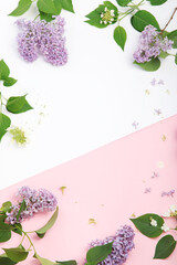 White and pink background with lilac flowers. © bit24