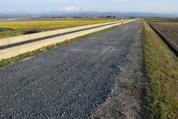 Naklejka premium 農道と田園風景 山形県庄内