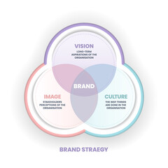 The vector illustration of the brand strategy venn diagram has vison, image and culture is key to helping to compete successfully. Brand culture and business strategy concept.Infographic presentation.