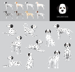 Dog Dalmatian Cartoon Vector Illustration Color Variation Set
