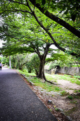 初夏の夙川公園付近の情景