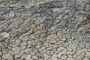 drought - dry land without water