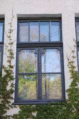 Window of old house with plants outdoor