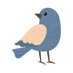 bird on white background