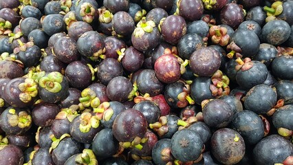 Many mangosteen are placed on trays in the supermarket.

