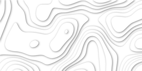 Fototapeta na wymiar 3d white papercut topography relief. Cover layout template. Material design concept vector illustration. abstract curve line white background. Soft smooth lines curving white papercut.
