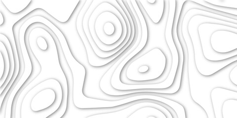 Fototapeta na wymiar 3d white papercut topography relief. Cover layout template. Material design concept vector illustration. abstract curve line white background. Soft smooth lines curving white papercut.