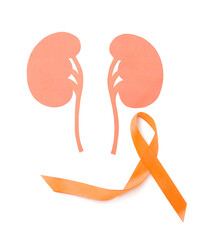 Orange awareness ribbon and paper kidneys on white background