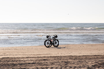Fototapeta premium The beautiful Danish Western coast