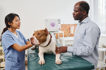 Mature African American man with his dog having medical check up appointment in vet clinic