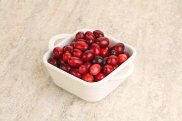 Ripe sweet tasty cranberry in the bowl