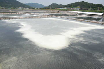 염전의 소금