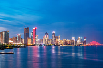 Obraz premium city skyline at night