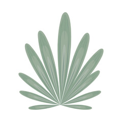 nature leaves botanical