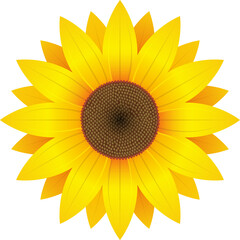 Sunflower clipart design illustration