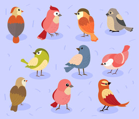 icons collection birds
