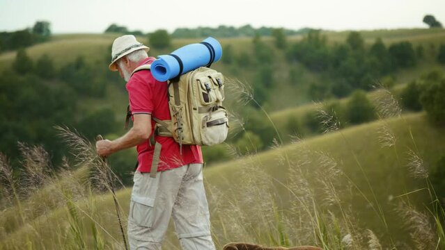 Senior Male hiker and his pet dog standing on peak hill and victoriously raising hands rejoicing success.