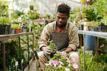 African male florist making flowerbed from pink blossom flowers during his work in flower shop