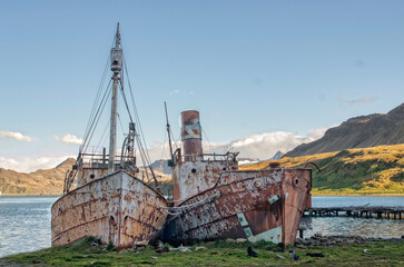 Beached Whaling Ships - Grytviken Station - obrazy, fototapety, plakaty
