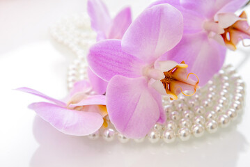 pearl and purple orchid on a white glas
