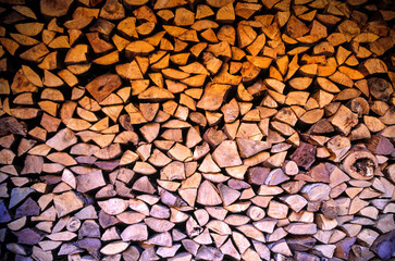 Madera.Selva de Zuriza.Valle de Anso.Senda de gran recorrido G.R.11.Pirineos Atlanticos. Navarra. España.