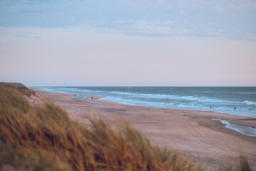 wide dunes and sand beach at the danish north sea coast. High quality photo