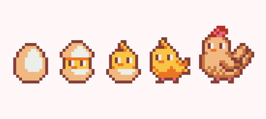 Chicken hatch pixel art set. Newborn chick growing into hen collection. Grow stages. 8 bit sprite. Game development, mobile app.  Isolated vector illustration. © SickleMoon