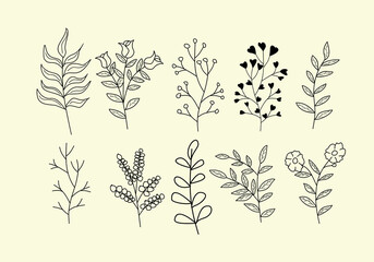 set of hand drawn leaf and flower icons. design for invitation ornament, cover, spring banner