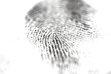 Selective focus of a paper impression of a fingerprint on a white background, concept of criminology and police science
