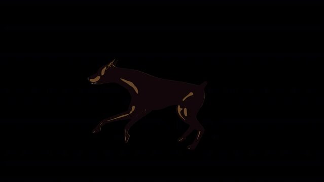 Doberman Run Animation.Full HD 1920×1080.04 Second Long.Transparent Alpha Video.LOOP.