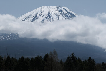 富士山