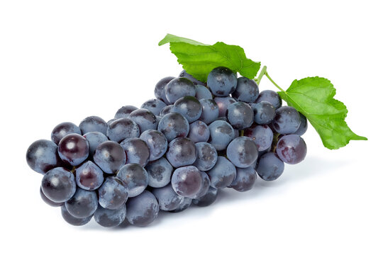 Black bunch of grapes with green leaves. isolated on white background.